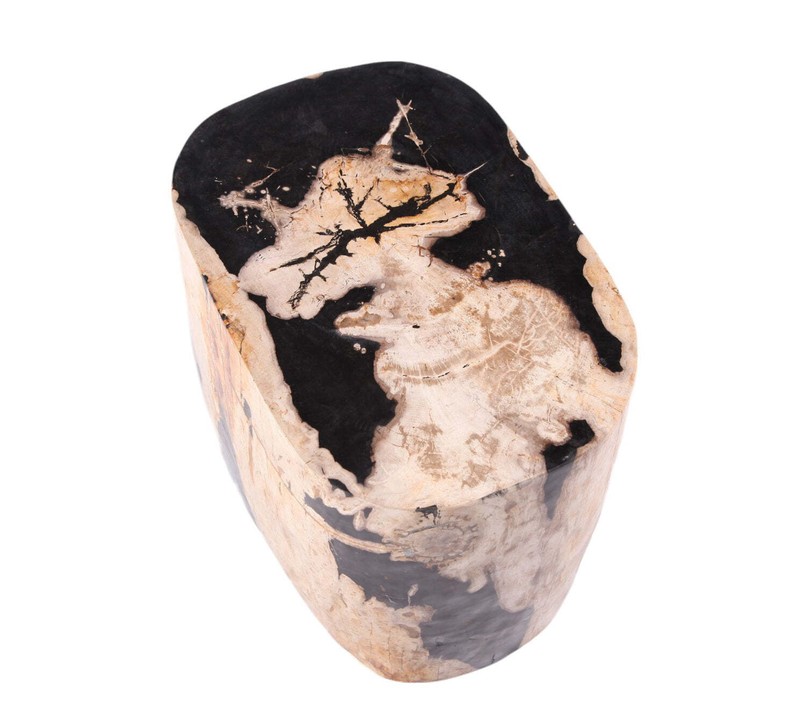 Large Oval Petrified Wood Accent Table or Side Table 2 gallery