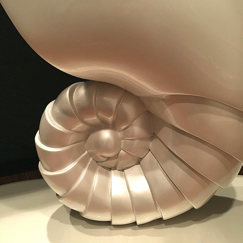 Chambered Nautilus SEA SHELL CONSOLE TABLE in Pearl White gallery
