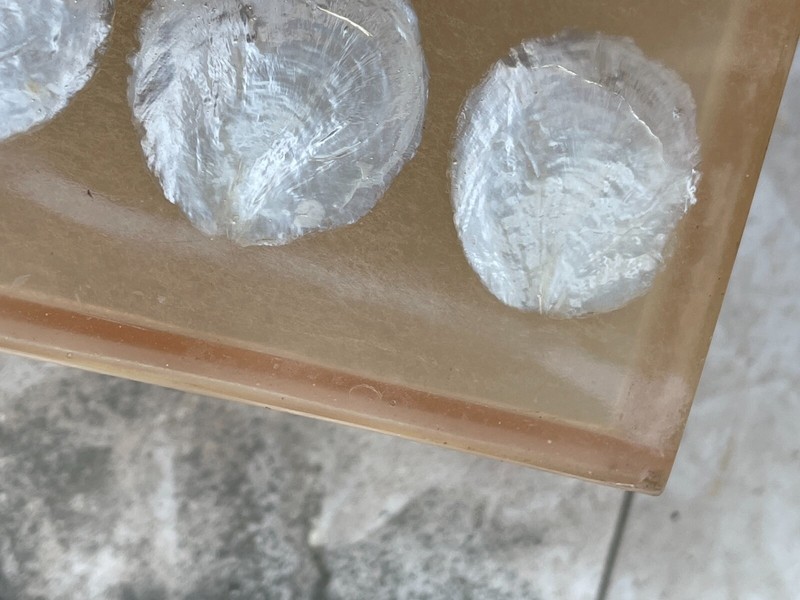 Vintage Limited Production Resin & Shell Pedestal Table by Shawna Stoney of S.F. gallery