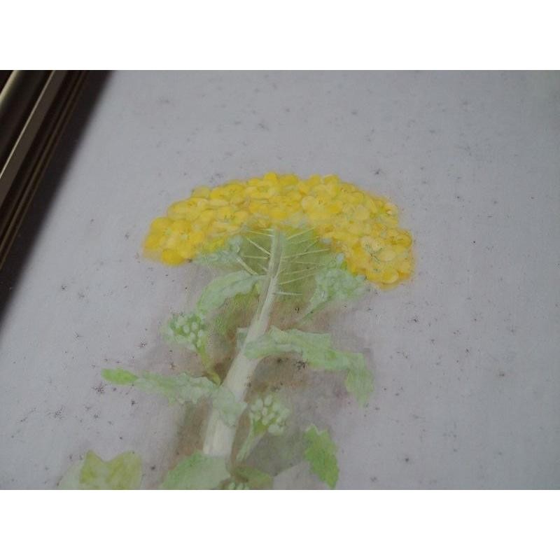 Contemporary Art Frame Kunio Okazaki Rapeseed Used Japan 19cm (7.5in) gallery