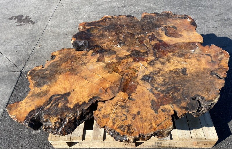 1970s redwood • Burl • tree stump coffee table log cabin Buffalo Ny Easter Sale!