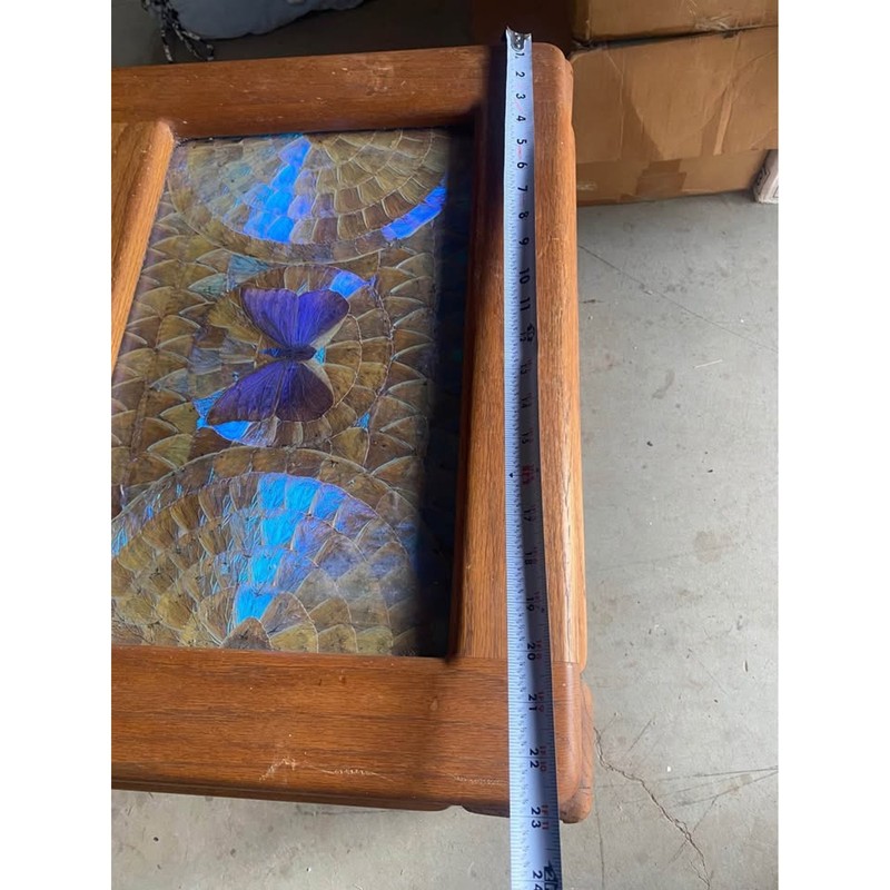 ONE-OF-A-KIND Butterfly Wing art side table gallery