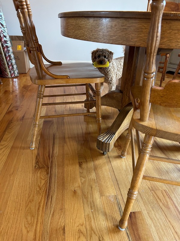 antique solid oak claw foot table with 5 chairs and additional solid oak 5 chair gallery