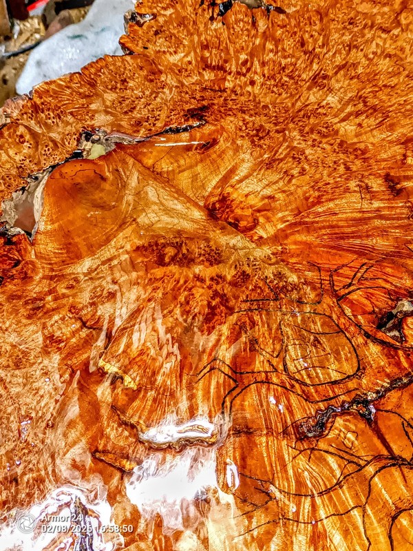 Gorgeous Birds Eye Fire Curl Burl Table / ballid piece