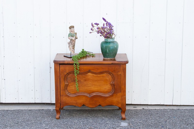 19th Century French Fruitwood Chest