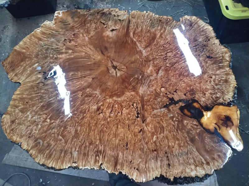 birdseye maple burl coffee table. furniture gallery