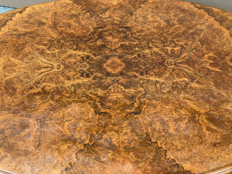 Vintage Estate Burl Walnut Wood Large Oval Low Coffee Table GB648 gallery