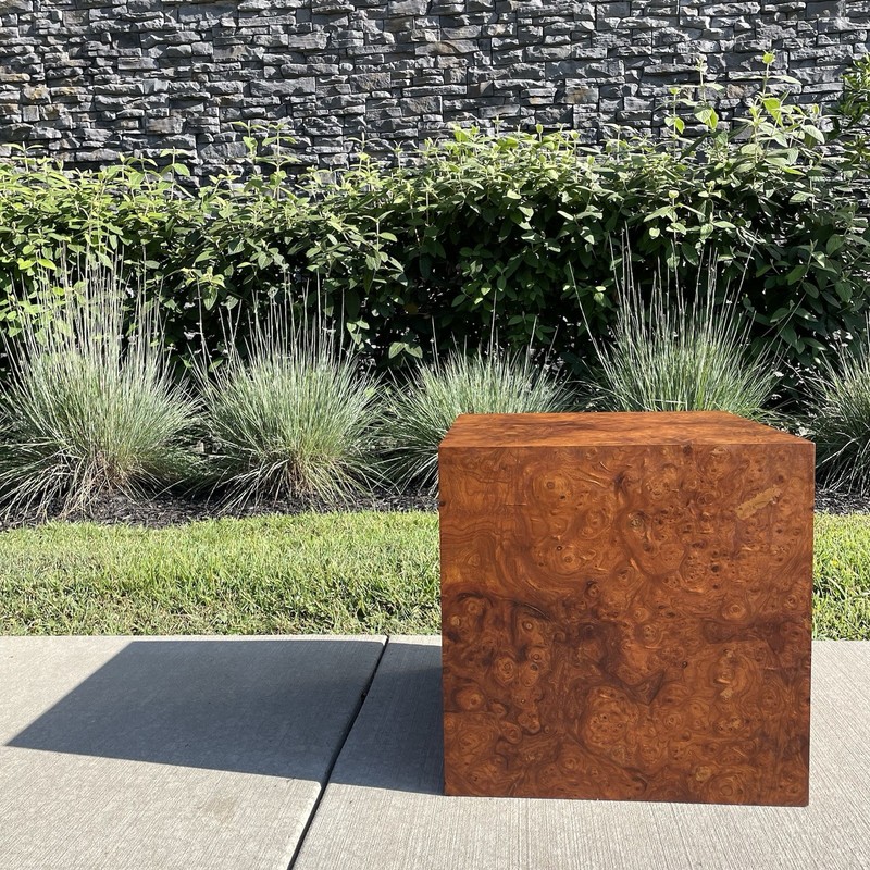 Vintage 60s 70s PAIR Mid Century Modern End Table Burl Wood Milo Baughman Style gallery