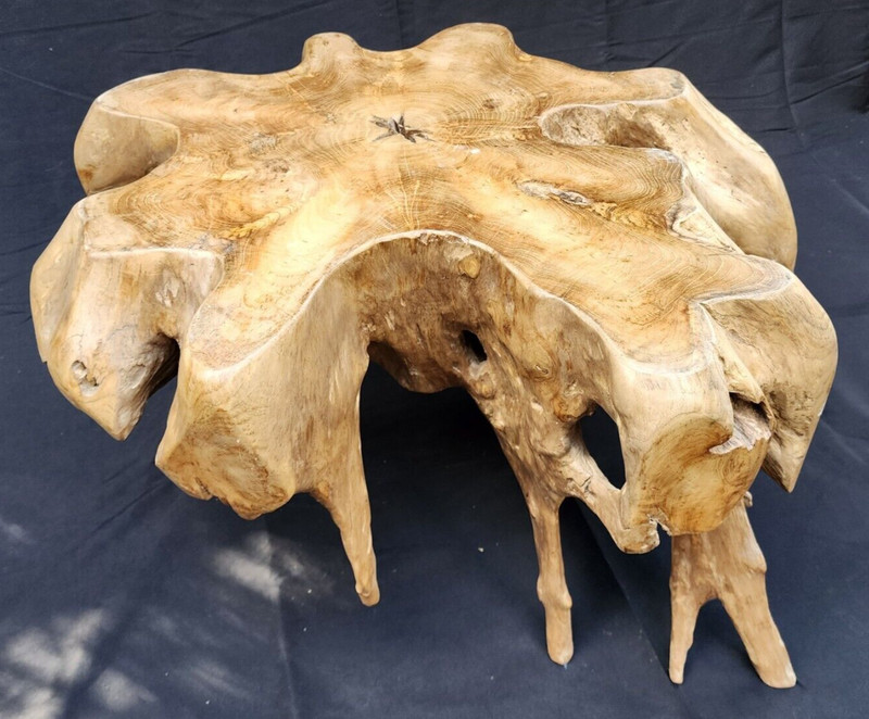 Solid Teak Root Burlwood Wood Coffee Table / Side Table #1481 gallery