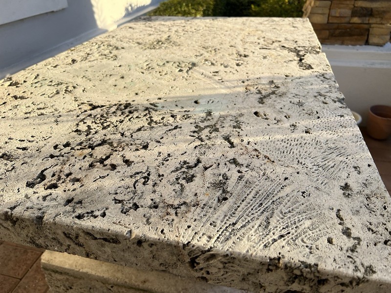Fossilized Florida Keys Coral 3-Piece Huge Table 48” X 29” X 22” RARE Make Offer gallery