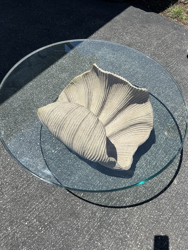Vintage Clam Shell Coffee Table With Glass Top Coastal gallery