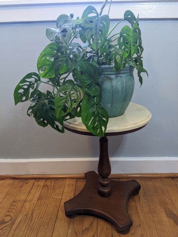 Marble Topped Side Table/ Plant Stand, vintage, mid century, hardwood, sturdy gallery