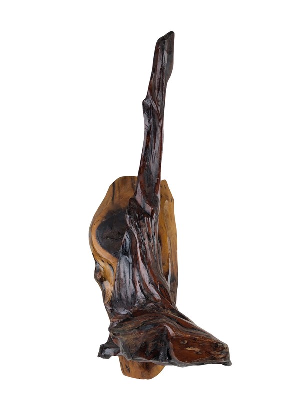 Mid 20th Century Live-Edge Coffee Table w/ Sculptural Root Base gallery