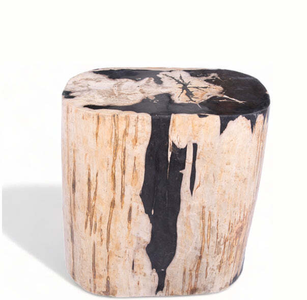 Large Oval Petrified Wood Accent Table or Side Table 2