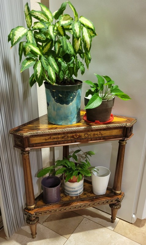 Italy Brass Mount Corner Table Planter Stand Ornate Hand Painted Gallery Wood! gallery