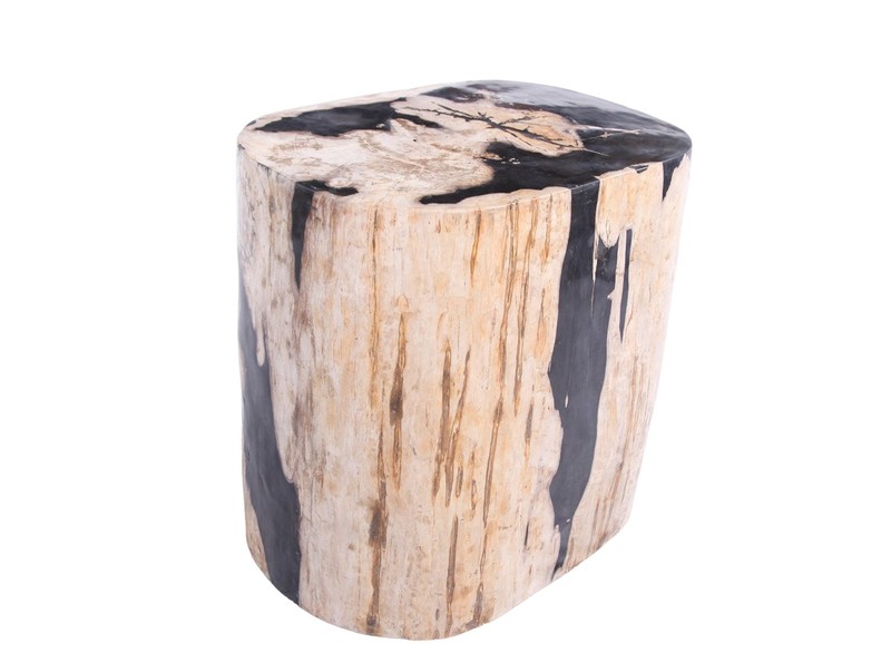 Large Oval Petrified Wood Accent Table or Side Table 2 gallery