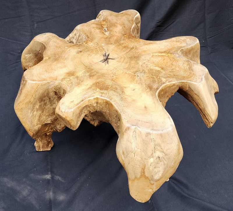 Solid Teak Root Burlwood Wood Coffee Table / Side Table #1481 gallery