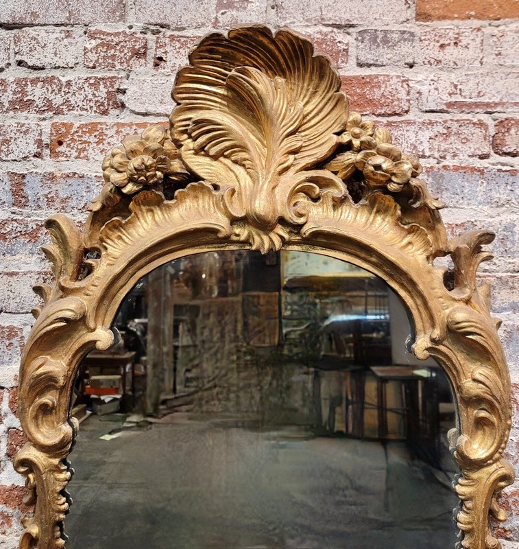 18th century Italian carved Giltwood Grotto Mirror w/ Seashell motif gallery