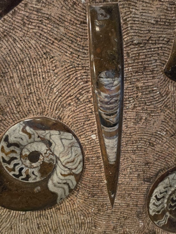 MARBLE FOSSIL COFEE TABLE FROM MOROCCO gallery