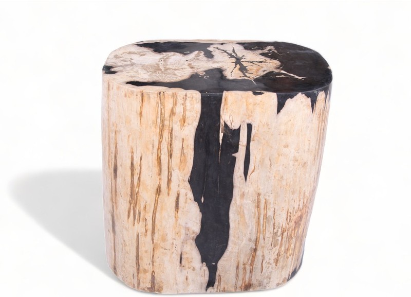 Large Oval Petrified Wood Accent Table or Side Table 2 gallery