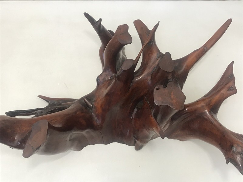 Mid Century Spanish Walnut Root Glass Top Coffee Table gallery