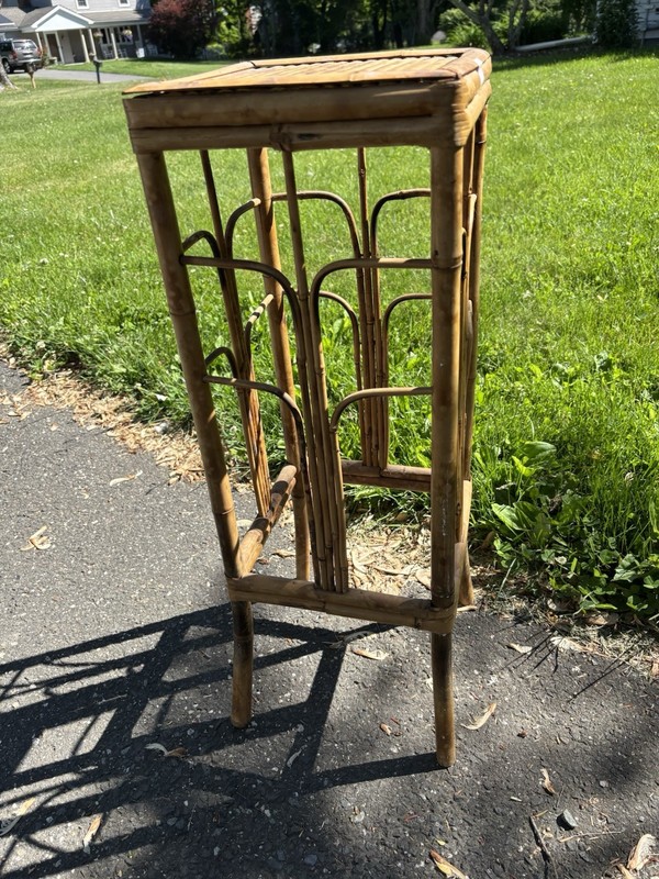 Antique Tortoise Burnt Bamboo Rattan Pedestal Plant Stand 1920s Art Nouveau