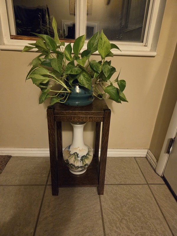Quartersawn Oak Mission Plant Plant