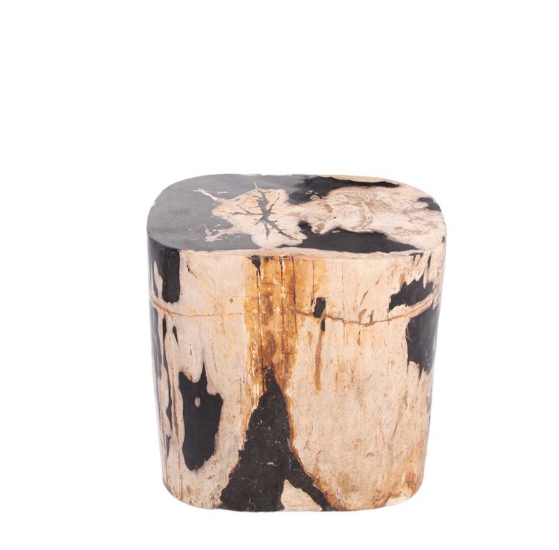 Large Oval Petrified Wood Accent Table or Side Table 2 gallery