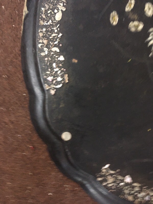 Antique Victorian Papier mâché Table Top gallery