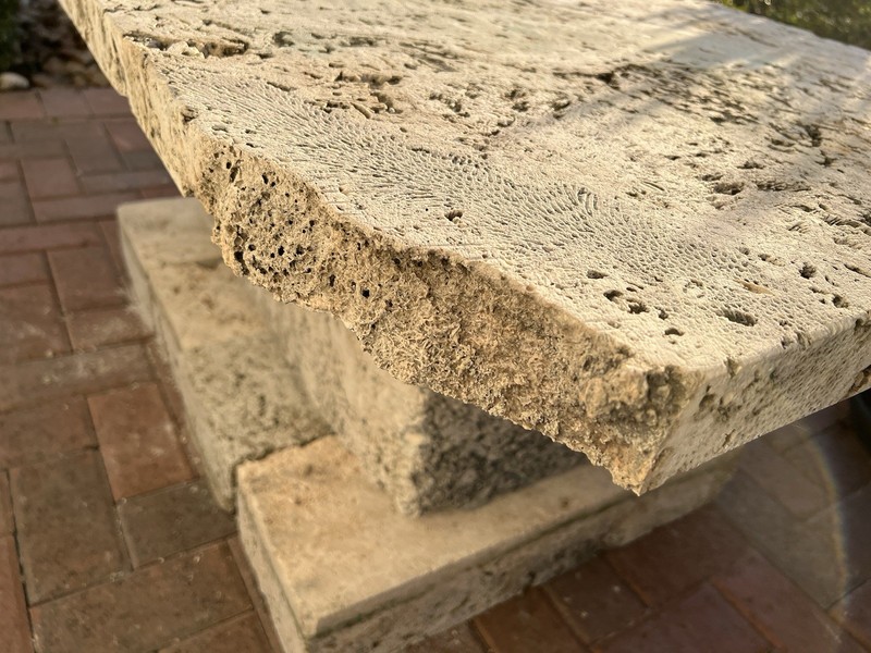 Fossilized Florida Keys Coral 3-Piece Huge Table 48” X 29” X 22” RARE Make Offer gallery