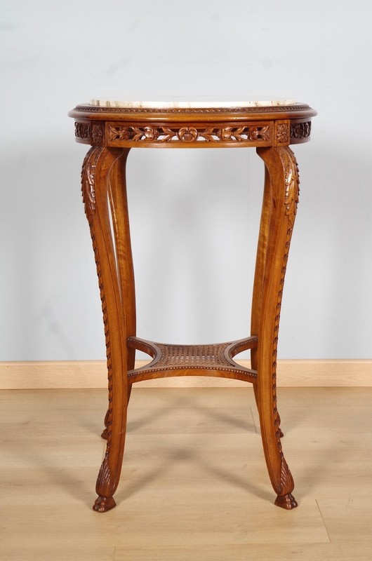Regency Style Harness gallery