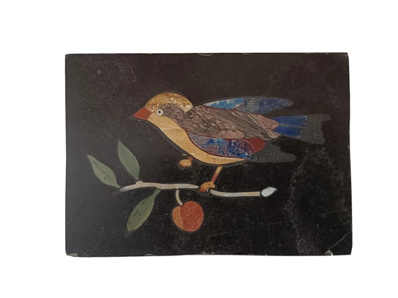 Handmade Colorful Bird Inlayed on Marble Pietra Dura Plaque Micro Mosaic