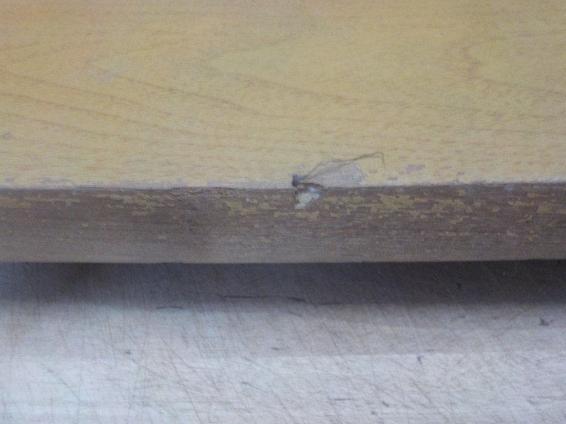 Vintage Mid Century Bissman Solid Walnut Coffee Table Top Only gallery