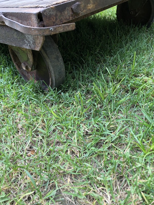 Vintage Industrial Cart/Coffee Table “Local Pick Up Only” 4ft Long , 30’ Wide gallery