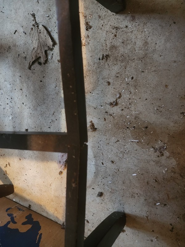 Antique wood folding table With Chairs gallery
