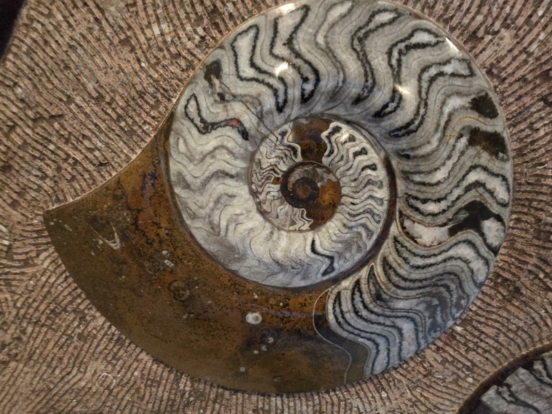 MARBLE FOSSIL COFEE TABLE FROM MOROCCO gallery